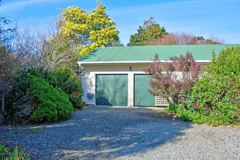 Photo of property in 132 Kaka Amu Road, Rangitumau, Masterton, 5871