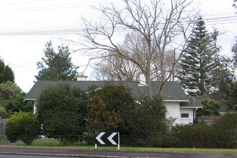 Photo of property in 53 Rimu Street, Maeroa, Hamilton, 3200