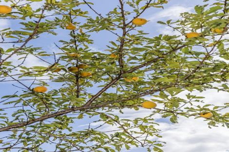 Photo of property in 32 Freeling Street, Island Bay, Wellington, 6023