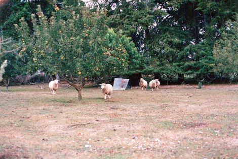 Photo of property in 618 Holland Road, Eureka, Hamilton, 3286