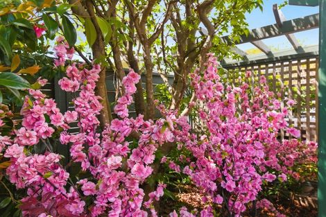 Photo of property in 5 Rimu Street, Waikanae, 5036