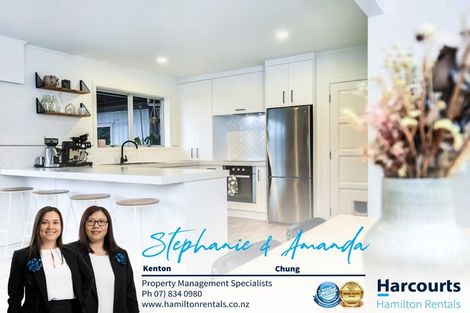 Photo of property in 80 Newcastle Road, Dinsdale, Hamilton, 3204