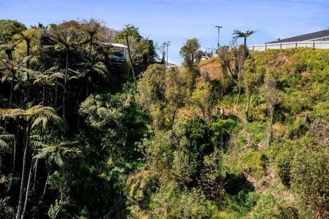 Photo of property in 18 Selwyn Street, Lower Vogeltown, New Plymouth, 4310