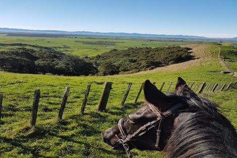 Photo of property in 149b Torehape Road, Kaihere, Ngatea, 3597