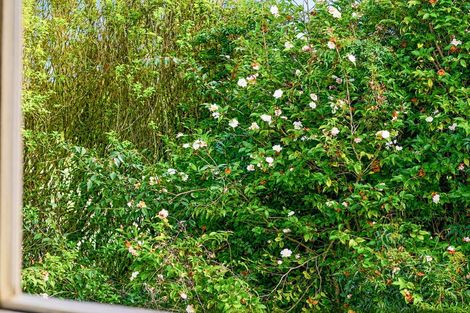 Photo of property in 271a Clarkin Road, Fairfield, Hamilton, 3214