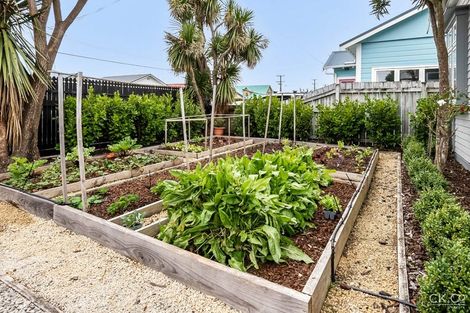 Photo of property in 13 Plunket Avenue, Petone, Lower Hutt, 5012