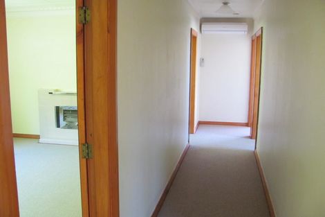 Photo of property in 147 Evans Street, Opoho, Dunedin, 9010