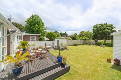 Photo of property in 57 Manson Street, Terrace End, Palmerston North, 4410