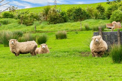 Photo of property in 15 Massey Road, Waipu, 0582