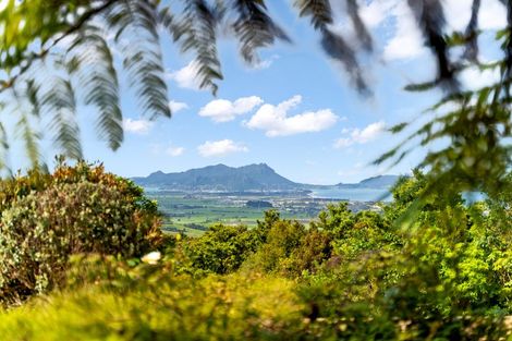 Photo of property in 507 Prescott Road, Ruakaka, Whangarei, 0171