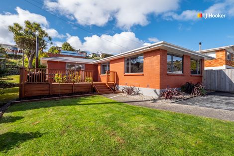 Photo of property in 98 Barr Street, Kenmure, Dunedin, 9011