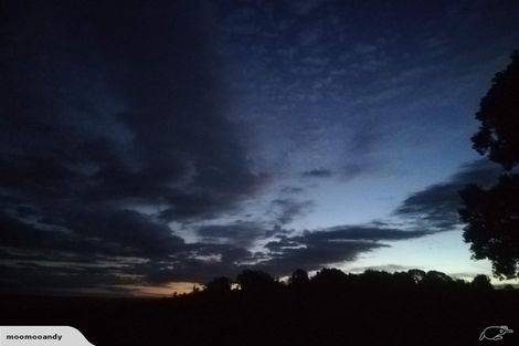 Photo of property in 350 Te Tahi Road, Puketotara, Te Awamutu, 3876