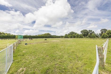 Photo of property in 275 Ngaio Road, Halcombe, Palmerston North, 4479