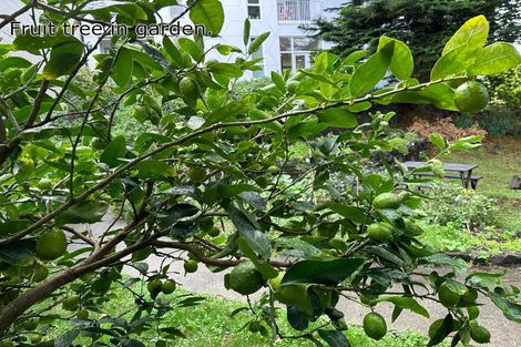 Photo of property in 205/11 Akepiro Street, Mount Eden, Auckland, 1024