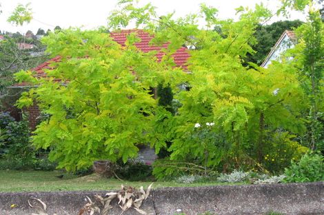 Photo of property in 27 Hukanui Crescent, Ponsonby, Auckland, 1021