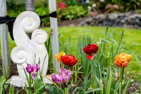 Photo of property in 249 Taieri Road, Wakari, Dunedin, 9010