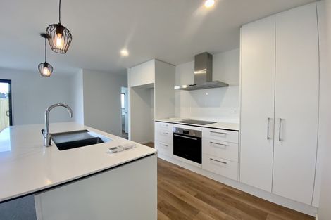 Photo of property in 25 Sarah Nicholls Street, Belfast, Christchurch, 8051