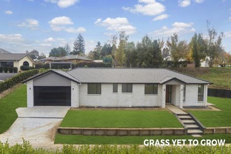 Photo of property in 2 Acorn Lane, Morrinsville, 3300