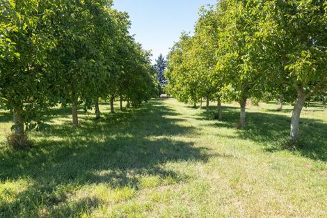 Photo of property in 120 Ulundi Road, Rakaia, 7784