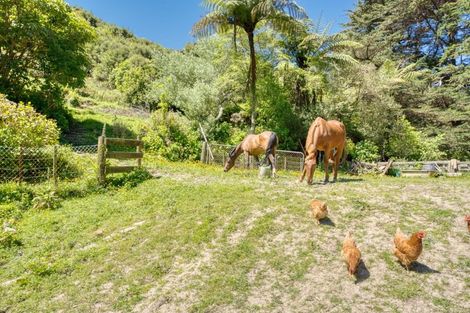 Photo of property in 305 Mangaone Road, Hautere, Otaki, 5582