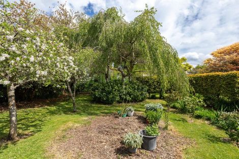 Photo of property in 17 Rawhiti Street, Dannevirke, 4930