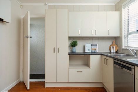 Photo of property in 51 Rogan Street, Mount Roskill, Auckland, 1041