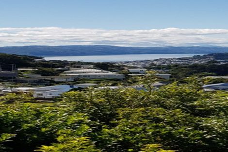 Photo of property in 153 The Ridgeway, Mornington, Wellington, 6021