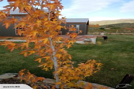 Photo of property in 138a Hall Road, Bannockburn, Cromwell, 9384