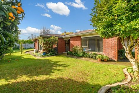 Photo of property in 15 Lydbrook Place, Otumoetai, Tauranga, 3110