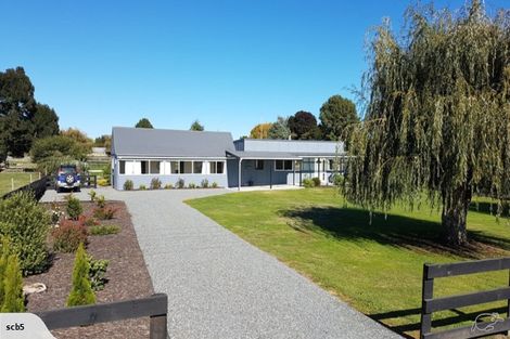 Photo of property in 32 Banks Road, Matamata, 3473