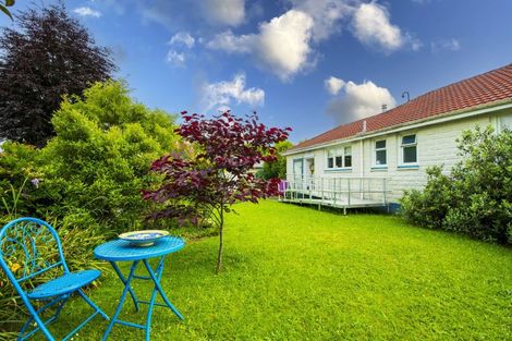 Photo of property in 28 Macarthur Street, Levin, 5510