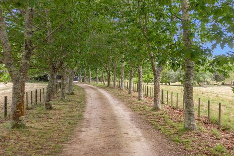 Photo of property in 180 Paierau Road, Opaki, Masterton, 5881