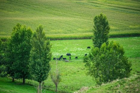 Photo of property in 62 Kent Road, Ruakituri, Wairoa, 4195