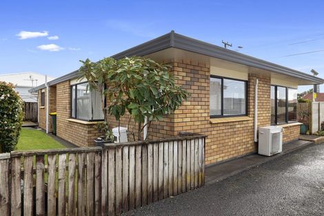 Photo of property in 17a Huatoki Street, Vogeltown, New Plymouth, 4310