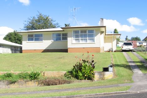 Photo of property in 38 Freyberg Crescent, Putaruru, 3411