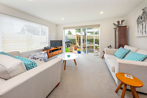 Photo of property in 31 Ferndale Road, Mount Wellington, Auckland, 1060
