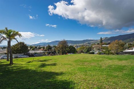 Photo of property in 7 Dorset Street, Richmond, 7020