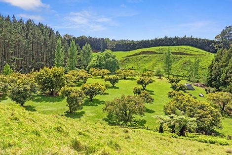 Photo of property in 233 Waipapa Block Road, Whakamarama, Tauranga, 3180