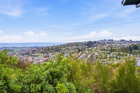 Photo of property in 24 Wills Street, Balaclava, Dunedin, 9011