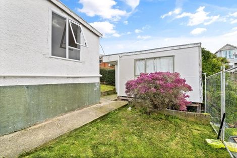 Photo of property in 20 Peter Street, Caversham, Dunedin, 9012