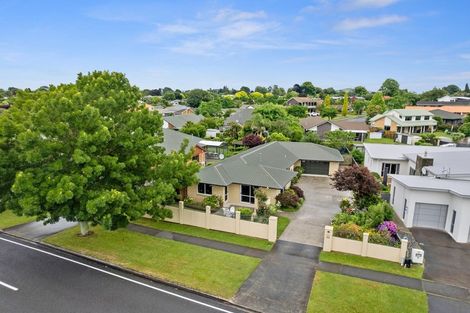 Photo of property in 59 Seales Road, Morrinsville, 3300