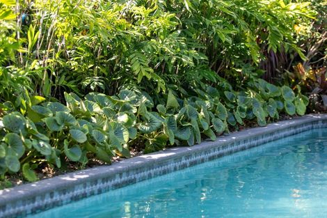 Photo of property in 563 Grenada Street, Papamoa Beach, Papamoa, 3118