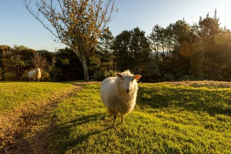 Photo of property in 26 Brackenburn Drive, Ohauiti, Tauranga, 3112