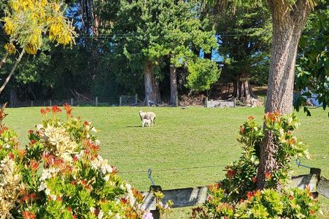 Photo of property in 93 Three Mile Hill Road, Halfway Bush, Dunedin, 9076