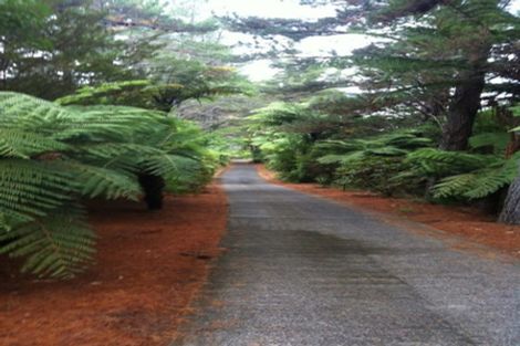 Photo of property in 135 Pumpkin Hill Road, Pumpkin Hill, Whitianga, 3591