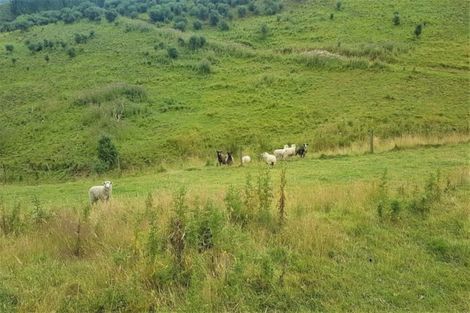Photo of property in 2162 Herbert-hampden Road, Herbert, Oamaru, 9495