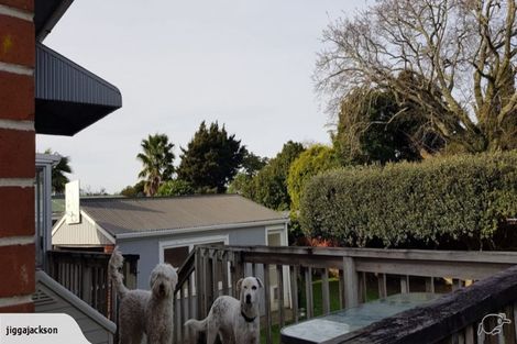 Photo of property in 74 David Avenue, Hillpark, Auckland, 2102