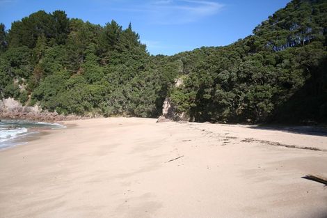 Photo of property in 341 Onemana Drive, Onemana, Whangamata, 3691