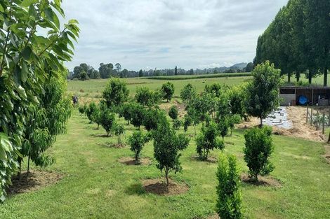 Photo of property in 155 Old Taupo Road, Arapuni, Putaruru, 3481