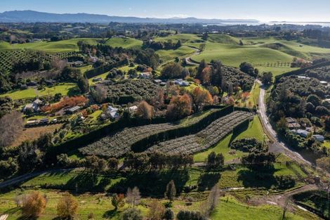 Photo of property in 394 Old Highway, Whakamarama, 3180